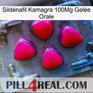 Sildénafil Kamagra 100Mg Gelée Orale 13